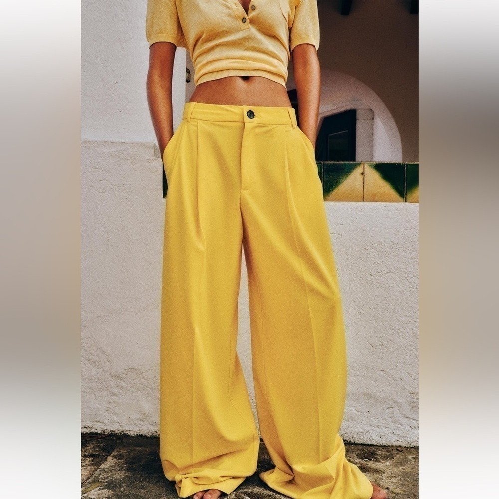 New ZARA High Waist Pleated Pants